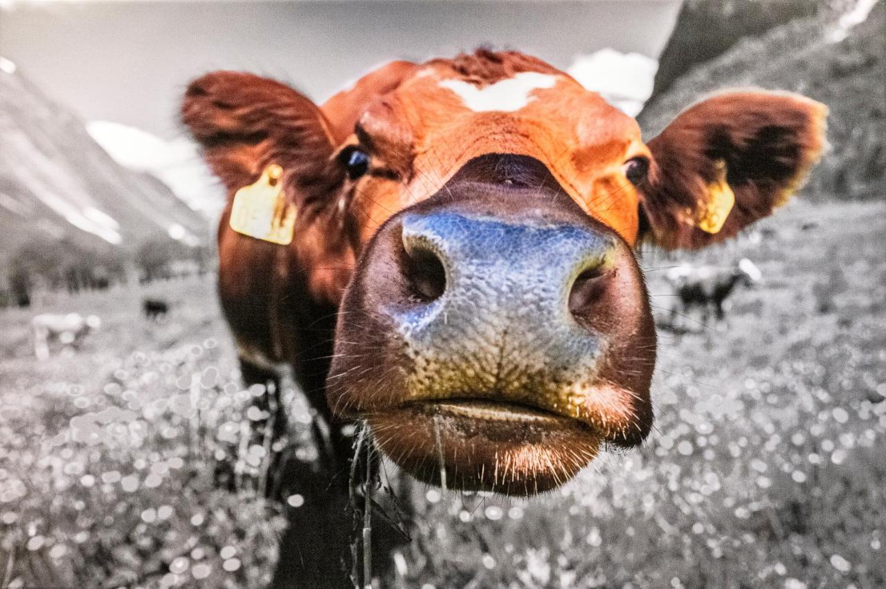 トシャググンスHaus Silvretta Novaアパートメント エクステリア 写真